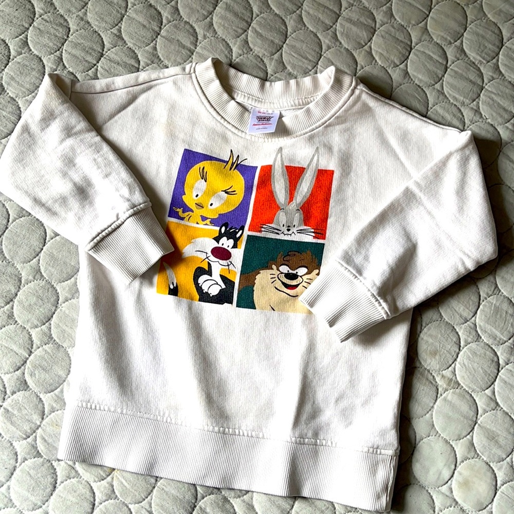 Hanna Anderson sweatshirt